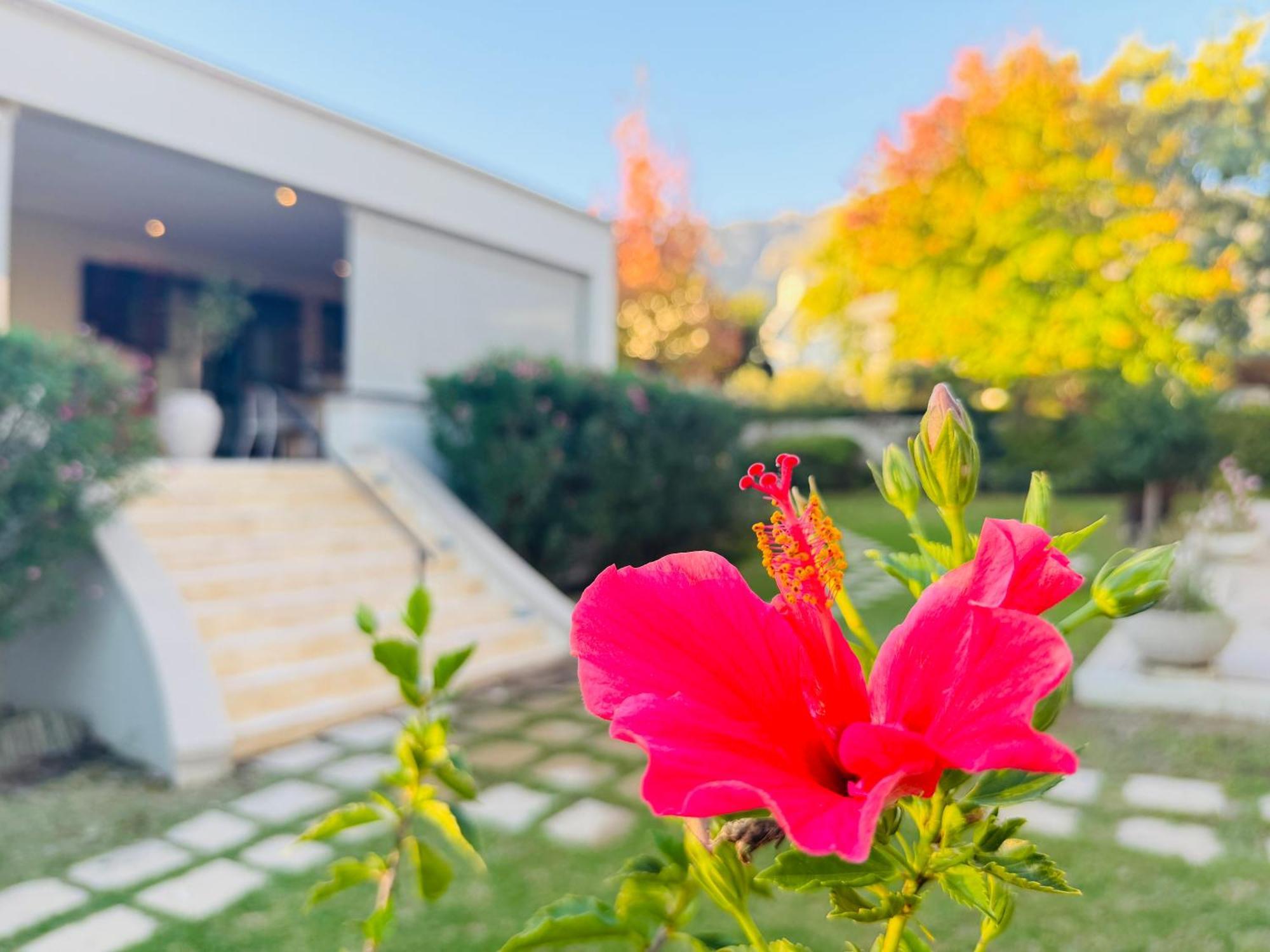Residence Vive La Vie Franschhoek Εξωτερικό φωτογραφία