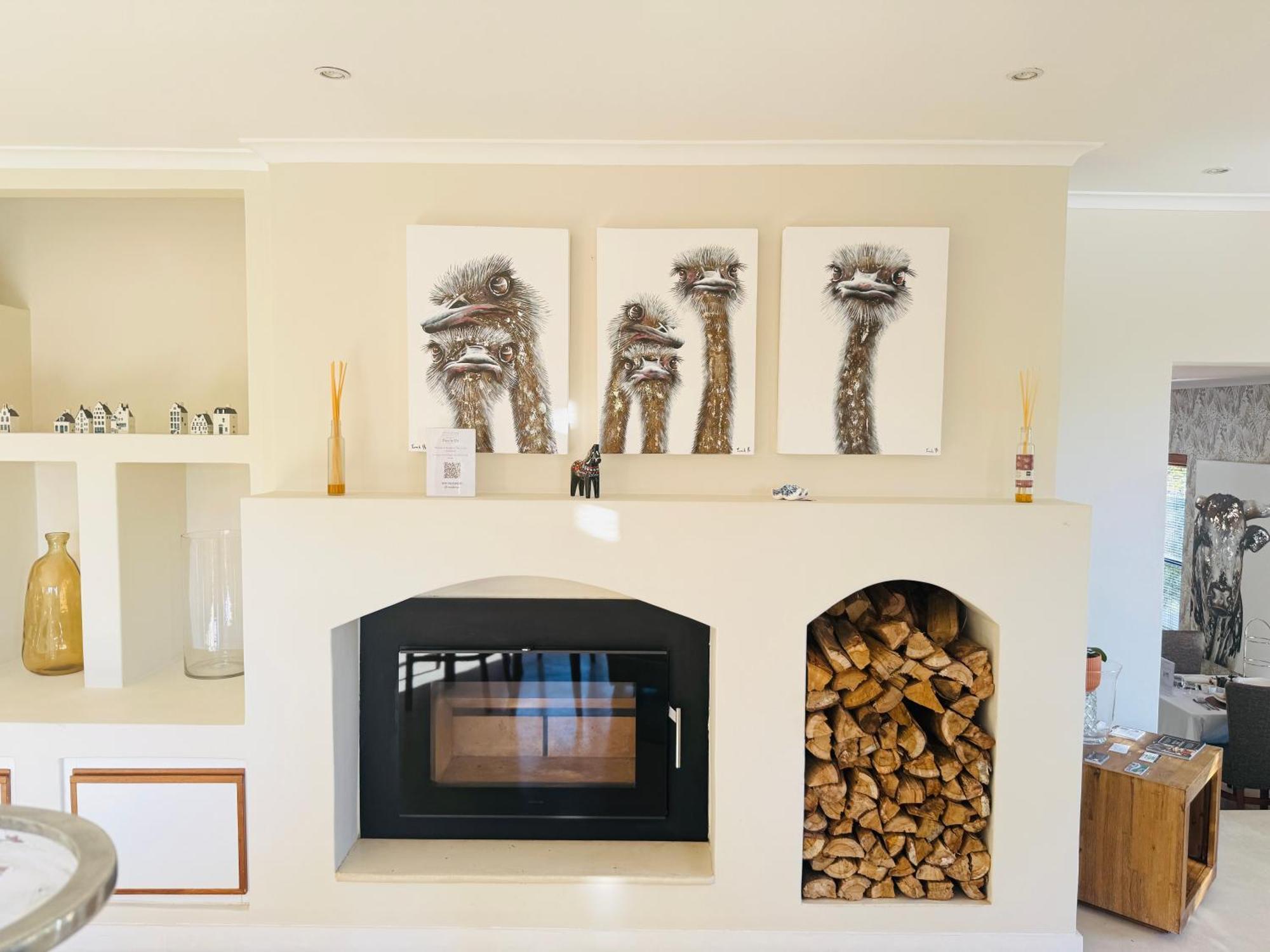 Residence Vive La Vie Franschhoek Εξωτερικό φωτογραφία